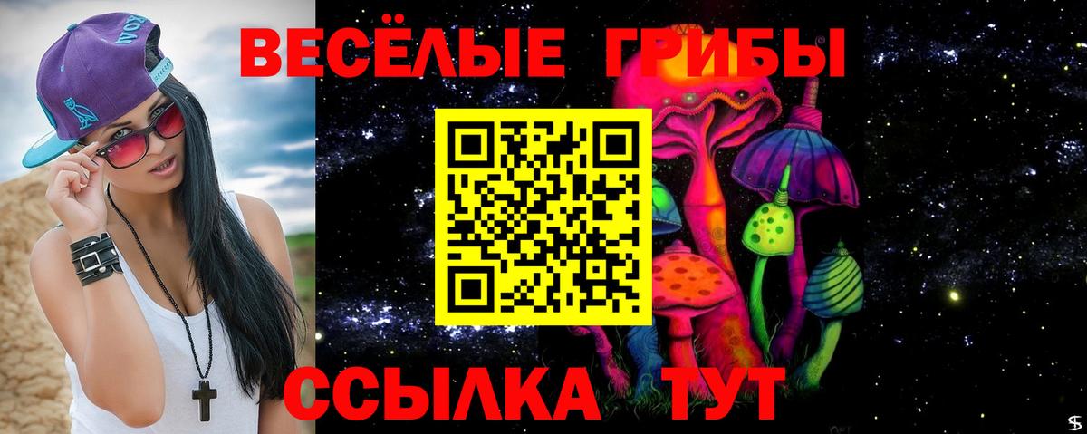 Галлюциногенные грибы Psilocybine cubensis Белово
